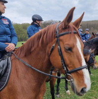 Vrtulník je nevystrašil